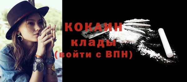 гидра Бородино