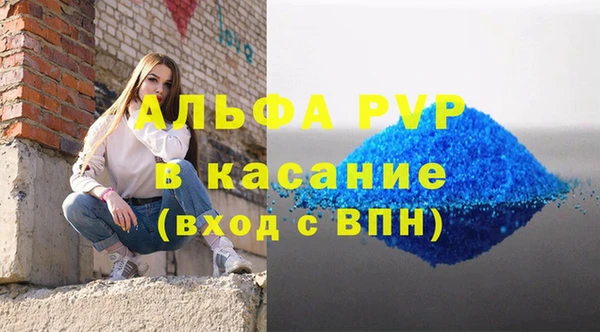 гидра Бородино