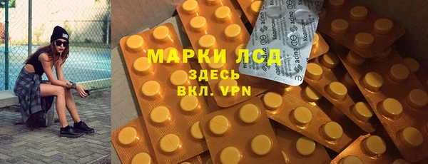 гидра Бородино