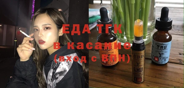 гидра Бородино
