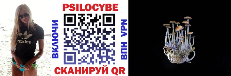 Псилоцибиновые грибы Psilocybine cubensis  Орск 